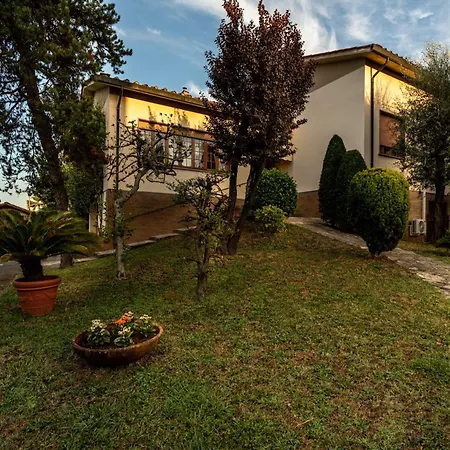Luxury In With Garden Villa